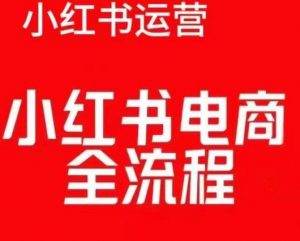 红薯电商实操课，小红书电商全流程-一点通资源网