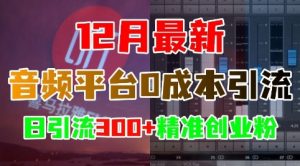 12月最新:音频平台0成本引流,日引流300+精准创业粉-一点通资源网