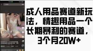 成人用品赛道新玩法,情趣用品一个长期暴利的赛道,3个月收益20个【揭秘】-一点通资源网