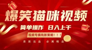 爆笑猫咪视频：简单操作，日入过K，视频号搞钱新策略【揭秘】-一点通资源网