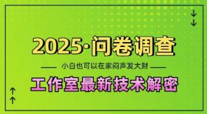 2025问卷调查最新工作室技术解密:一个人在家也可以闷声发大财,小白一天2张,可矩阵放大【揭秘】-一点通资源网