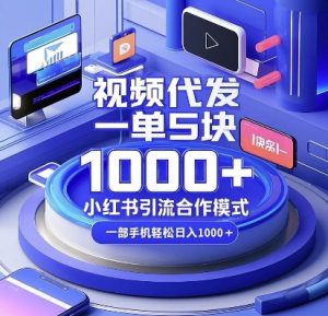 视频代发，一单5块，小红书引流合作模式，一部手机轻松日入多张【揭秘】-一点通资源网