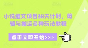 小说推文项目38天计划,剪辑与搬运多种玩法教程-一点通资源网