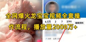全网爆火龙宝宝视频全套操作流程,播放量2000万+-一点通资源网