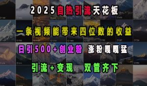 2025自热引流天花板，一条视频能带来四位数的收益，引流+变现双管齐下，日引500+创业粉，涨粉嘎嘎猛-一点通资源网