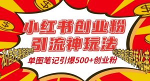 小红书创业粉引流神玩法,单图笔记引爆500+精准创业粉丝,私信狂潮接连不断-一点通资源网