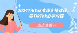 2024TikTok变现实操课程，入局TikTok必学内容-一点通资源网
