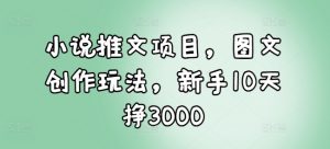 小说推文项目,图文创作玩法,新手10天挣3000-一点通资源网