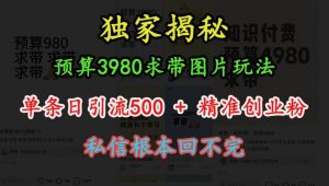 预算3980求带 图片玩法,单条日引流500+精准创业粉,私信根本回不完-一点通资源网