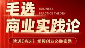 毛选商业实践论,读透《毛选》掌握创业必胜密匙-一点通资源网