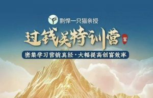 剽悍一只猫-过钱关特训营,学习营销真经 大幅度提高创富效率-一点通资源网