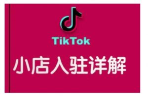 TikTok跨境小店运营全攻略,帮助你独立运营TK跨境小店的能力,实现销量增长-一点通资源网