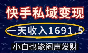 一天收入1691.5,快手私域变现,小白也能闷声发财-一点通资源网