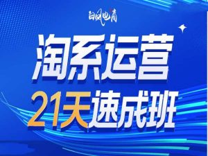 淘系运营21天速成班35期,年前最后一波和2025方向-一点通资源网