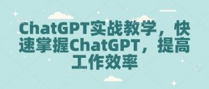 ChatGPT实战教学,快速掌握ChatGPT,提高工作效率-一点通资源网