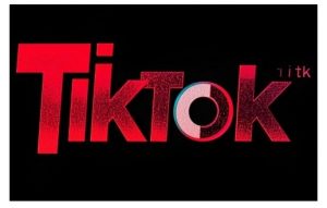 TikTok ads投流秘籍，涵盖tiktok整体投放思路，教你搭建测试计划-一点通资源网