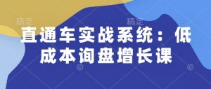 直通车实战系统：低成本询盘增长课，让个人通过技能实现升职加薪，让企业低成本获客，订单源源不断-一点通资源网
