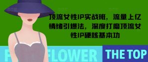 顶流女性IP实战班，流量上亿情绪引爆法，深度打磨顶流女性IP硬核基本功-一点通资源网