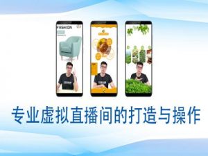 个人虚拟直播间的搭建与操作，专业虚拟直播间的打造与操作-一点通资源网