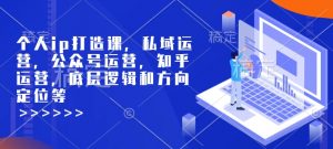 个人ip打造课，私域运营，公众号运营，知乎运营，底层逻辑和方向定位等-一点通资源网