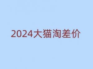 2024版大猫淘差价课程,新手也能学的无货源电商课程-一点通资源网