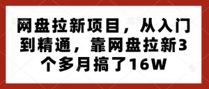 网盘拉新项目,从入门到精通,靠网盘拉新3个多月搞了16W-一点通资源网