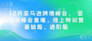 12月亚马逊跨境峰会， 亚马逊峰会直播，线上特训营基础版，进阶版-一点通资源网