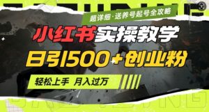 2月小红书最新日引500+创业粉实操教学【超详细】小白轻松上手,月入1W+,附小红书养号起号SOP-一点通资源网