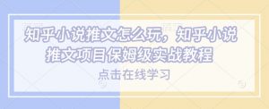 知乎小说推文怎么玩,知乎小说推文项目保姆级实战教程-一点通资源网