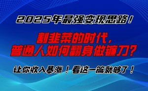 2025年最强变现思路,割韭菜的时代, 普通人如何翻身做镰刀?【揭秘】-一点通资源网