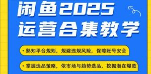 2025闲鱼电商运营全集,2025最新咸鱼玩法-一点通资源网