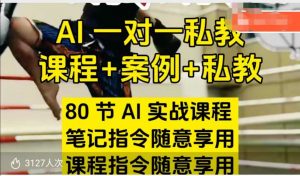 AI指令实战课，课程+案例，80节AI实战课程，笔记指令随意享用，课程指令随意享用-一点通资源网