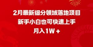 2月最新细分领域落地项目,新手小白也可快速上手,月入1W-一点通资源网