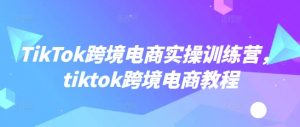 TikTok跨境电商实操训练营，tiktok跨境电商教程-一点通资源网