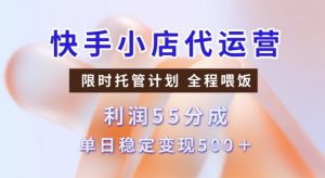 快手小店代运营3.0,模式新升级,收益55分,稳定单日5张【揭秘】-一点通资源网