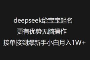 deepseek给宝宝起名更有优势无脑操作接单接到爆新手小白月入1W+-一点通资源网