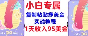 复制粘贴挣美金，0门槛，1天收入95美刀，3分钟学会，内部教程(首次公开)-一点通资源网