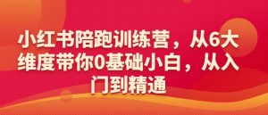 小红书陪跑训练营，从6大维度带你0基础小白，从入门到精通-一点通资源网