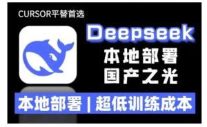 2025年deepseek R1 大型模型本地安装部署(文件+教程)本地部署，超低训练成本-一点通资源网