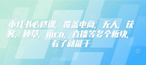 小红书必修课，覆盖电商，无人，获客，种草，mcn，直播等多个板块，看了就能干-一点通资源网