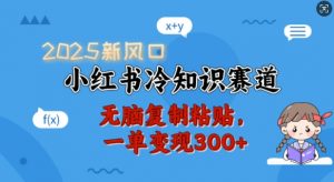 2025新风口,小红书冷知识赛道,无脑复制粘贴,一单变现300+-一点通资源网