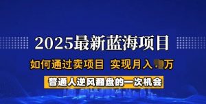 2025蓝海项目,普通人如何通过卖项目,实现月入过W,全过程【揭秘】-一点通资源网