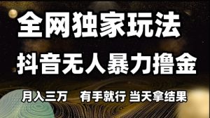 全网独家玩法抖音无人暴力撸金,月入3W,有手就行,当天拿结果【揭秘】-一点通资源网