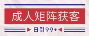 小红书某音橙人赛道引流获客,自热矩阵日引200+【揭秘】-一点通资源网