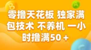 零撸天花板,独家满包技术 不养机 一小时撸满50+【揭秘】-一点通资源网