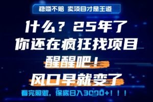 什么?25年你还在疯狂找项目做,醒醒吧,看完这些你全都懂了!【揭秘】-一点通资源网