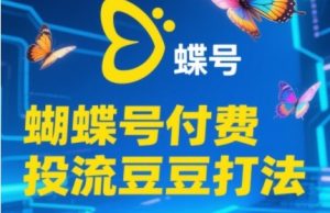 2025蝴蝶号付费投流豆豆打法,助新手快速掌握付费流量撬动自然流的核心玩法-一点通资源网