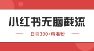 小红书截流同行客源,独家野路子获客玩法 日引200+暴力获客【揭秘】-一点通资源网